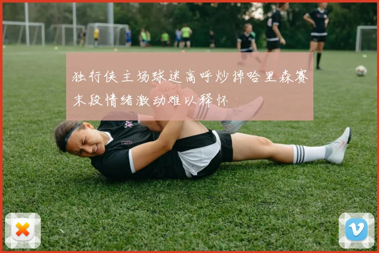 独行侠主场球迷高呼炒掉哈里森赛末段情绪激动难以释怀