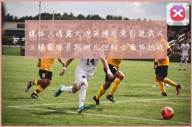 媒体人透露大连英博有意引进武汉三镇前球员斯坦丘但转会面临挑战