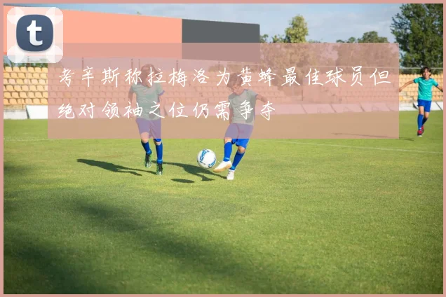 考辛斯称拉梅洛为黄蜂最佳球员但绝对领袖之位仍需争夺